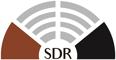 SDR 2010